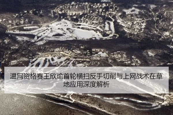 温网资格赛王欣瑜首轮横扫反手切削与上网战术在草地应用深度解析