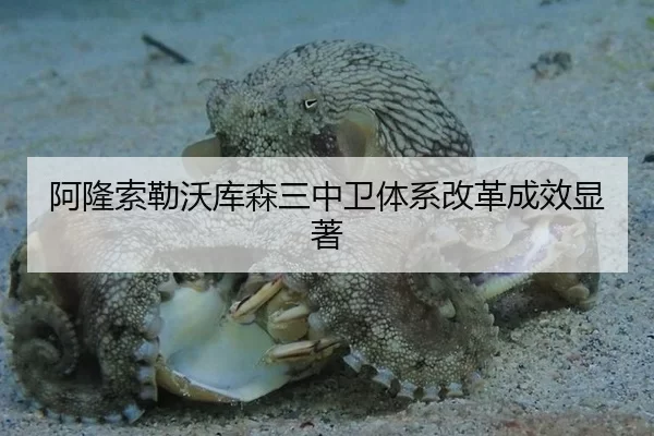 a-long-suo-lei-wo-ku-sen-san-zhong-wei-ti-xi-gai-ge-cheng-xiao-xian-zhu-2-269.jpg