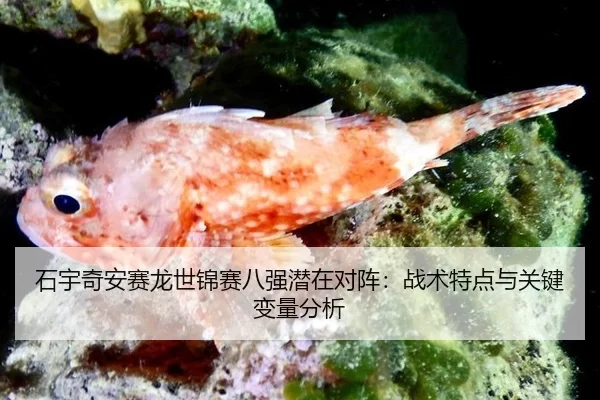 石宇奇安赛龙世锦赛八强潜在对阵：战术特点与关键变量分析